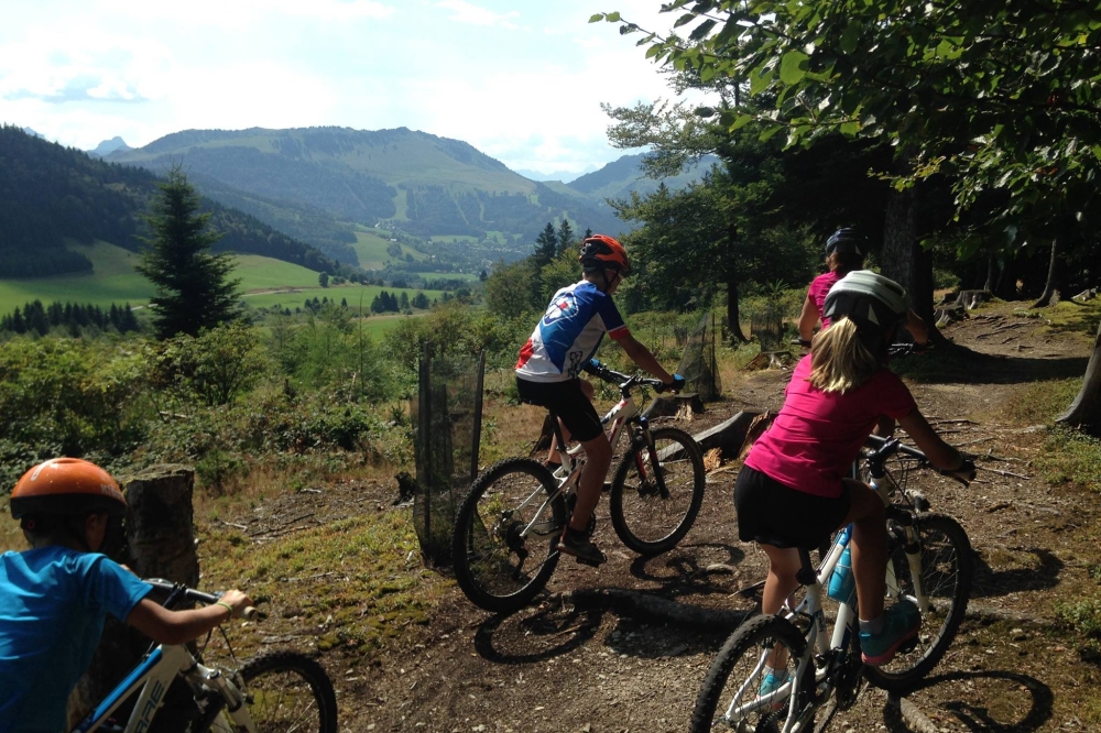 VALLEE VERTE BIKE TOUR